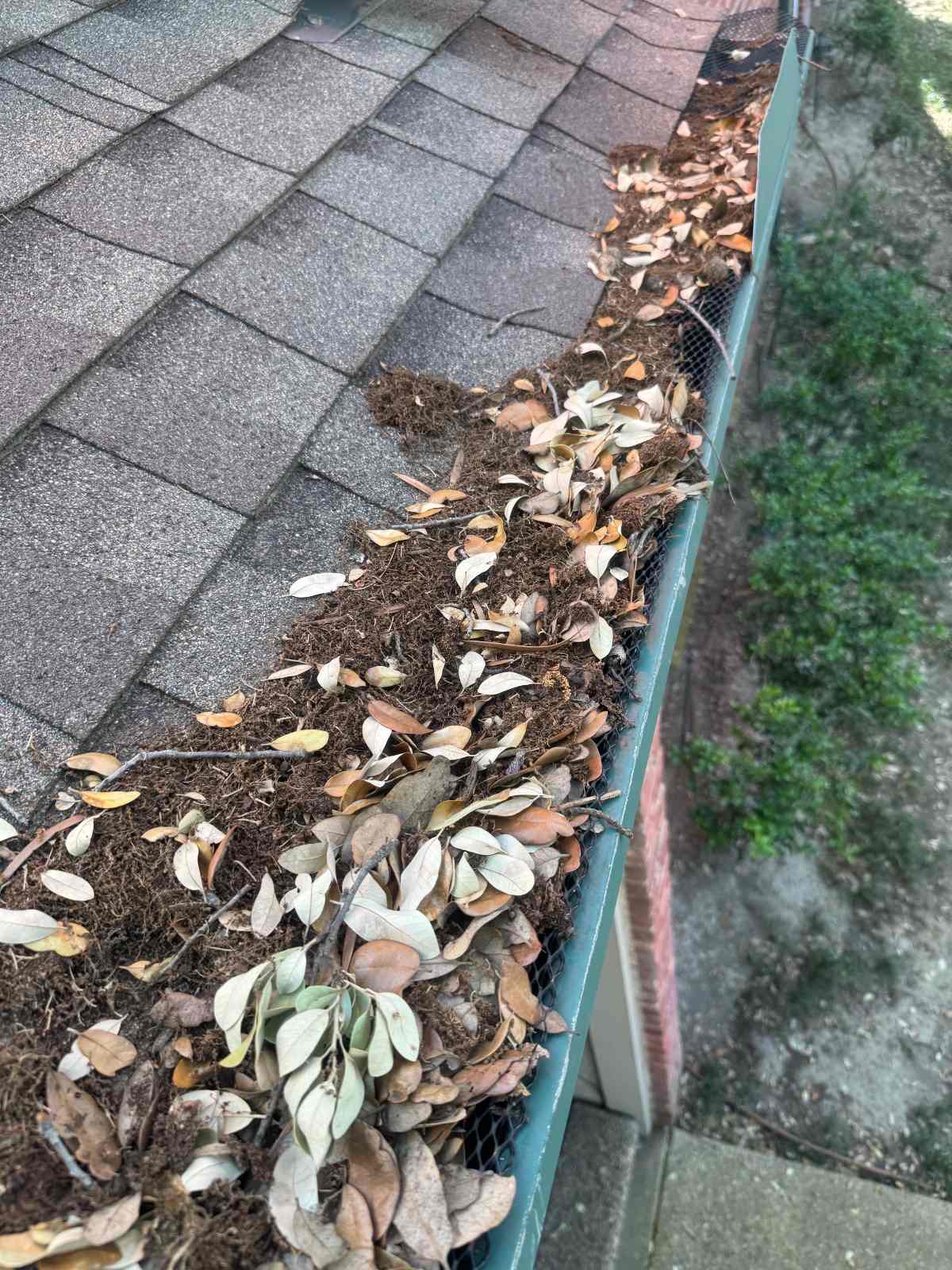 Clogged gutter along a shingle roof, the kind of gutter work Blueth LLC handles